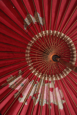Beautiful Vintage Parasol