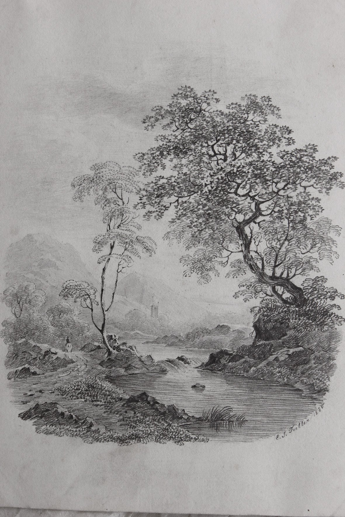 The Most Beautifully Detailed Old Pencil Study