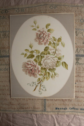 Vintage Peonies