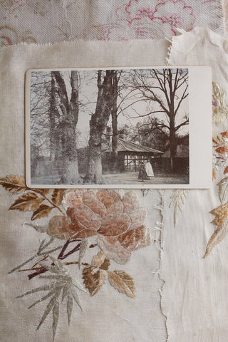Old Studio Photograph on Board