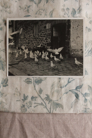 Old Photograph - Feeding the Seagulls