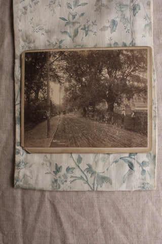Old Photograph - The Avenue
