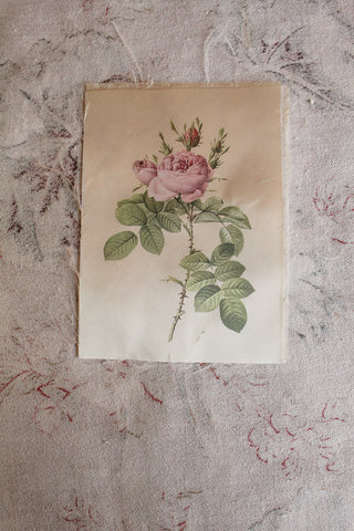 Vintage Faux Silk Printed Panel - Pink Rose