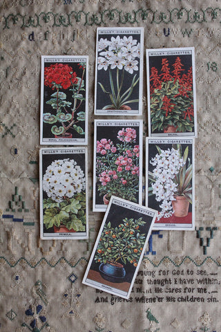 Vintage Cigarette Cards - Flowers In Pots - Set 2