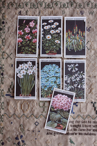 Vintage Cigarette Cards - Flowers In Pots - Set 3