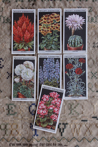 Vintage Cigarette Cards - Flowers In Pots - Set 4