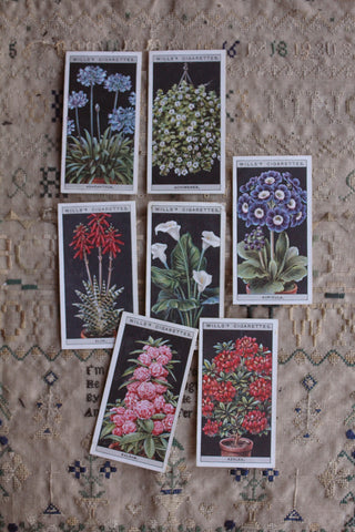Vintage Cigarette Cards - Flowers In Pots - Set 5