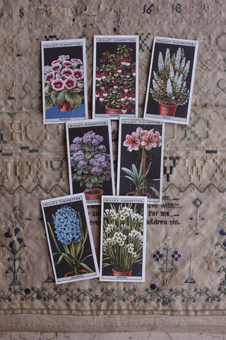 Vintage Cigarette Cards - Flowers In Pots - Set 6