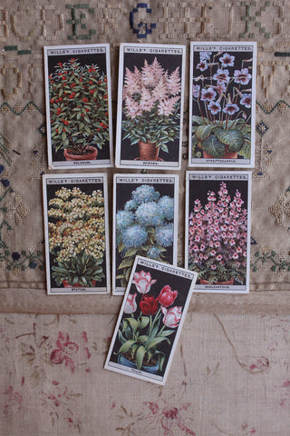 Vintage Cigarette Cards - Flowers In Pots - Set 7