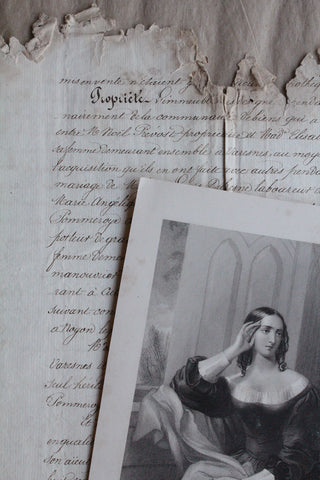 Portrait & Parchment - Flora