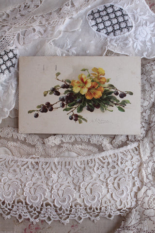 Old Collectable Postcard - Nasturtiums and Berries