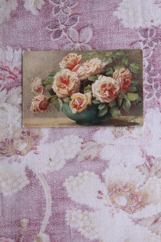 Collectable Postcard -  Time of Roses - Apricot