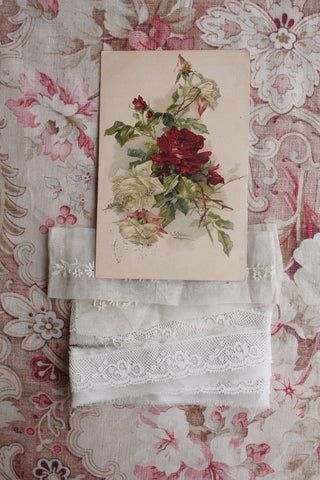 Old Collectable Postcard - Rose Branches