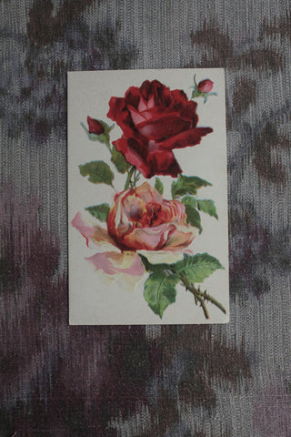 Old Postcard - Red & Pink Roses