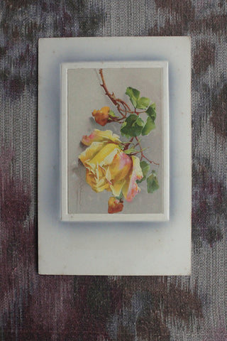 Old Postcard - Single Yellow Blush Rose