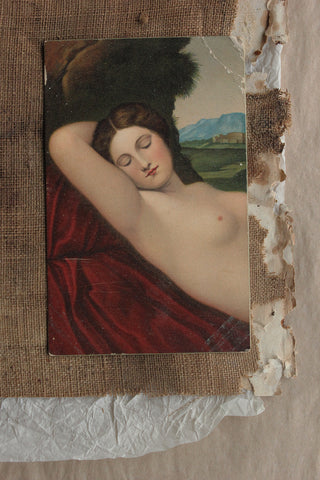 Collectable Postcard - Sleeping