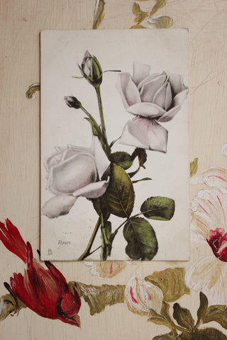 Old Postcard - Faded Roses