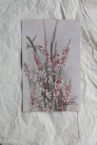 Old WW1 Embroidered Postcards - 10