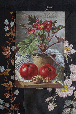 Collectable Postcard - Still Life 4
