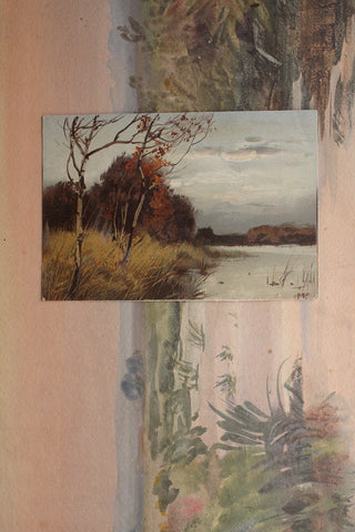 Old Collectable Postcard - Birch in Autumn