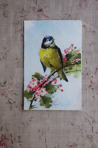 Collectable Postcard - Blue Tit & Blossom
