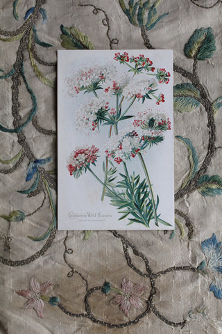 Old WW1 Embroidered Postcards - 10