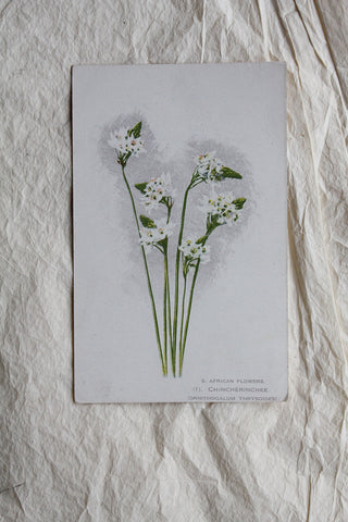 Old WW1 Embroidered Postcards - 10