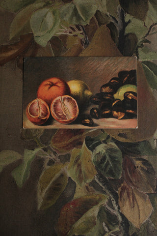 Collectable Postcard - Citrus and Brazils