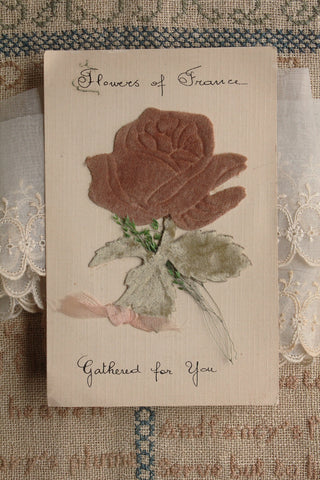 Old Postcard - Flowers of France