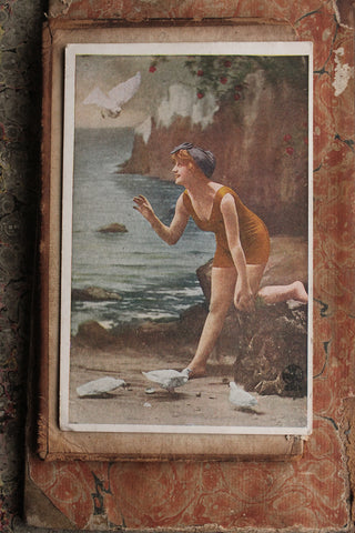 Collectable Postcard -  Feeding the Birds