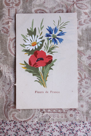 Old Printed Postcard - Fleurs de France