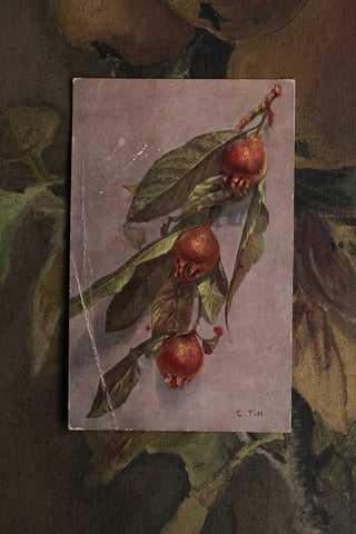 Collectable Postcard - Hips