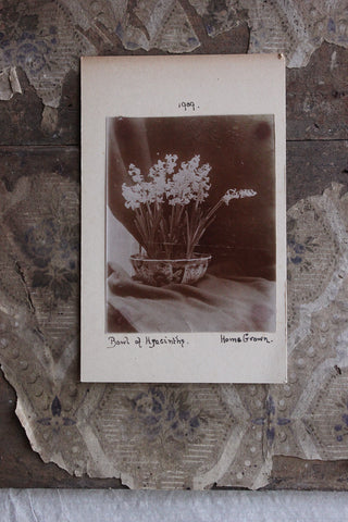 Old Hand Made Card - Bowl of Hyacinths