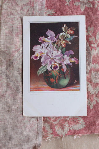 Old Collectable Postcard - Orchid Vase