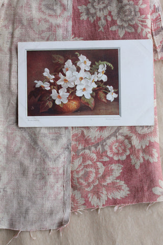 Old Collectable Postcard - Narcissus in Vase