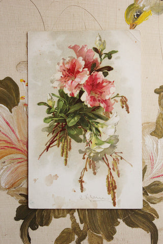 Lillies