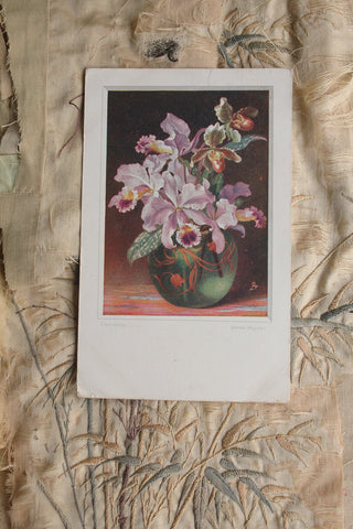 Old Collectable Postcard  - Artisan Vase and Orchids