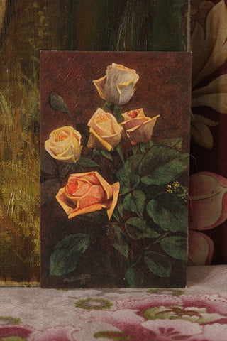 Roses from a Secret Garden - Clementine Cream