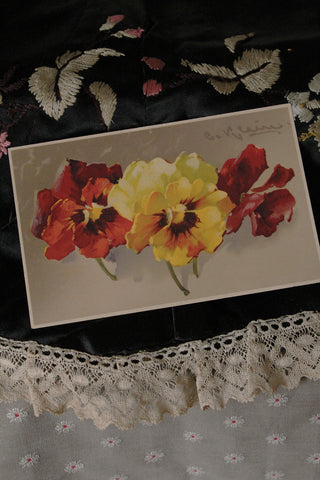 Old Collectable Postcard  - Burnt Orange to Red Ombre Pansies