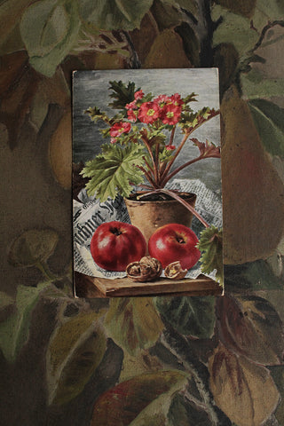 Collectable Postcard - Plant Pot, Paper, Apples and a Walnut