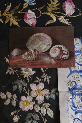 Collectable Embossed Postcard - Shells