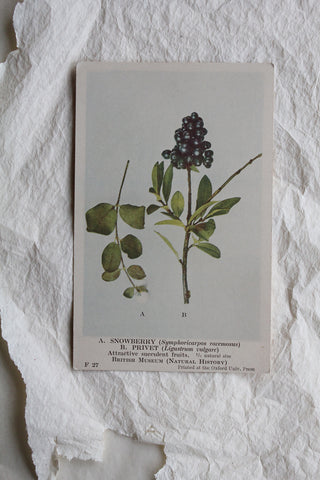 Old WW1 Embroidered Postcards - 10