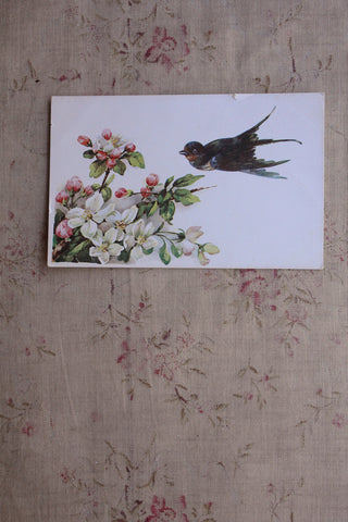 Collectable Postcard - Swallow & Blossom