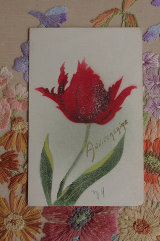 Old Collectable French Postcard  - Tulip