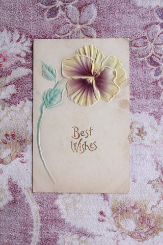 Collectable Embossed Postcard -  Viola