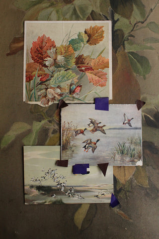 Inspirations from a Scrapbook - Autumn Flight