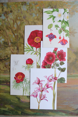 Floral Arrangement - 2