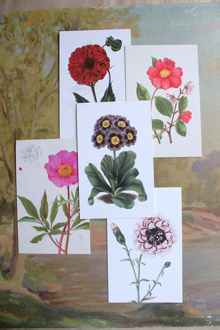 Floral Arrangement - 1