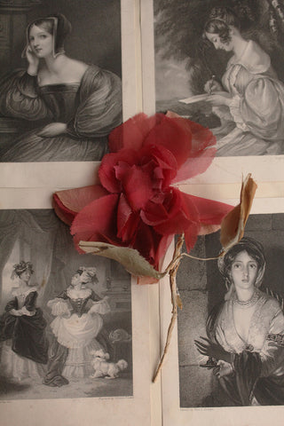 Old Rose