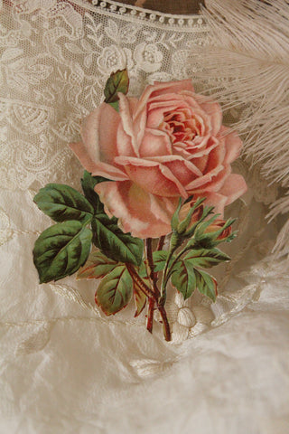 Victorian Raphael Tuck Rose - Gentle Pinks